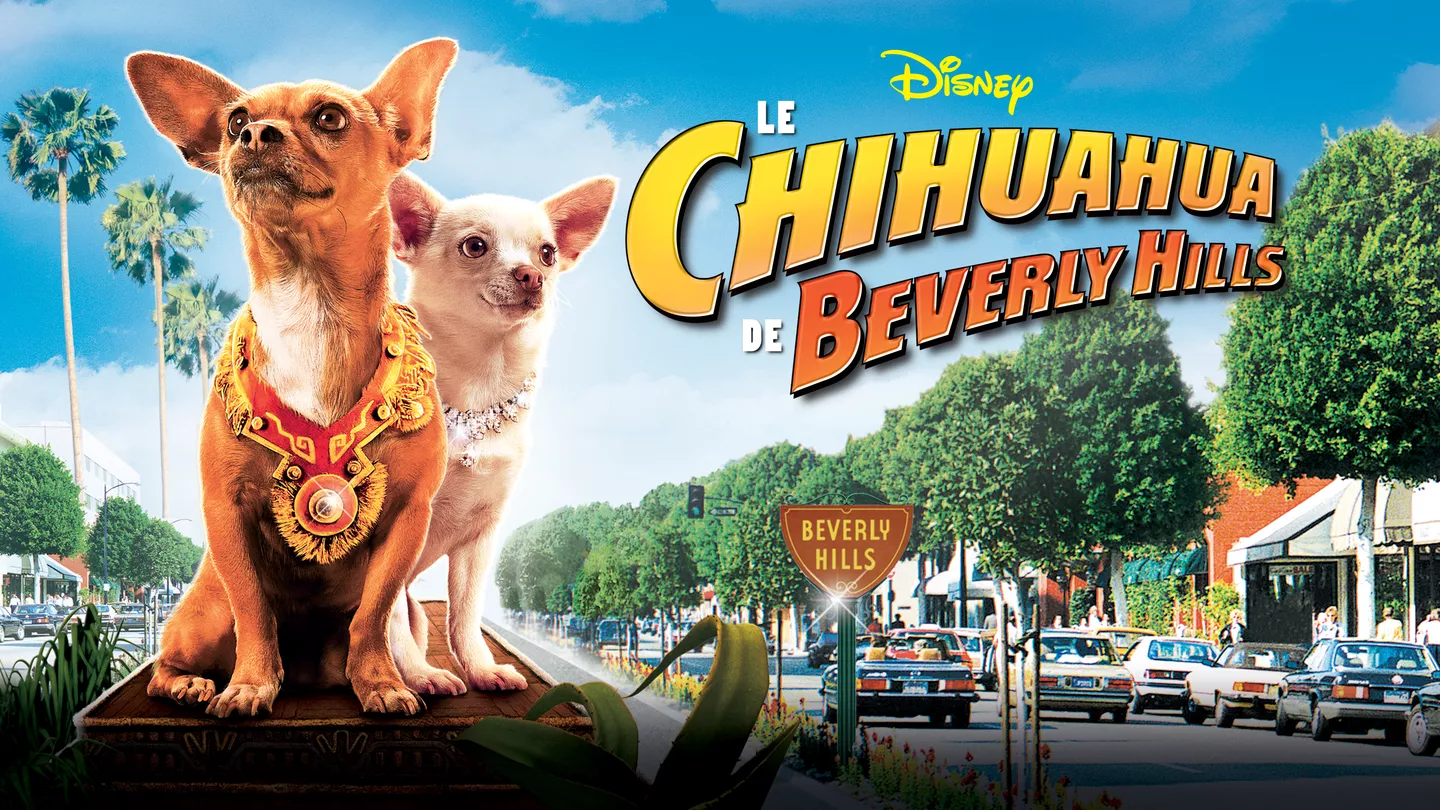 Affiche du film "La famille chihuahua à Beverly Hills"