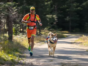 Un homme qui court avec son chien attaché à la taille par une longe