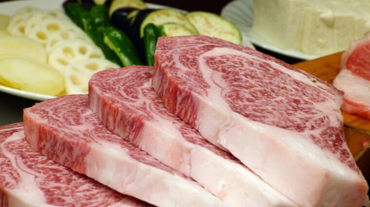 Viande crue pour chien